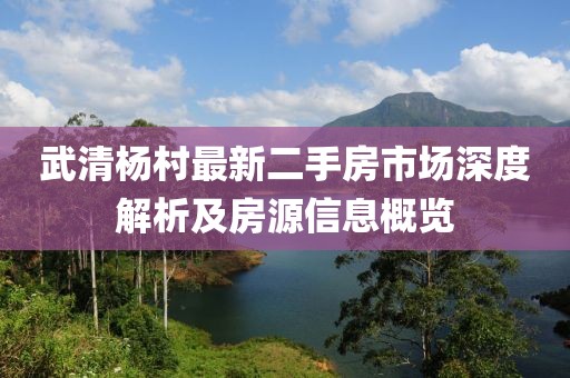 武清楊村最新二手房市場(chǎng)深度解析及房源信息概覽