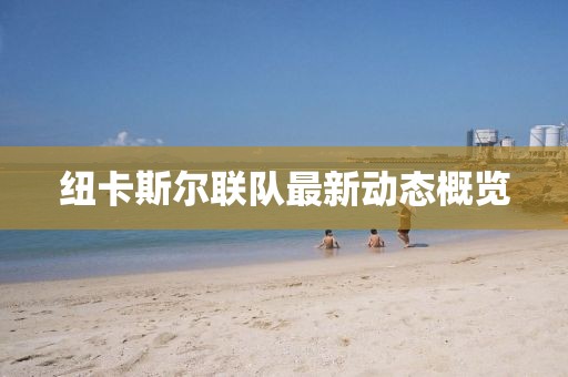 紐卡斯?fàn)柭?lián)隊(duì)最新動(dòng)態(tài)概覽