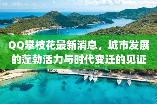 QQ攀枝花最新消息，城市發(fā)展的蓬勃活力與時(shí)代變遷的見(jiàn)證