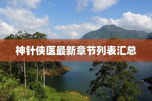 神針俠醫(yī)最新章節(jié)列表匯總