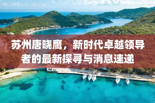 蘇州唐曉鷹，新時(shí)代卓越領(lǐng)導(dǎo)者的最新探尋與消息速遞