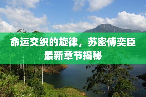 命運(yùn)交織的旋律，蘇密傅奕臣最新章節(jié)揭秘