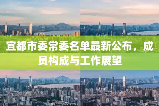 宜都市委常委名單最新公布，成員構(gòu)成與工作展望