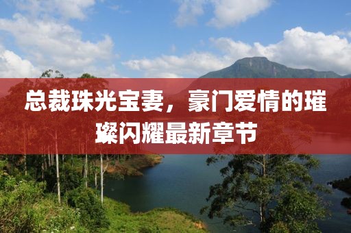 總裁珠光寶妻，豪門愛情的璀璨閃耀最新章節(jié)
