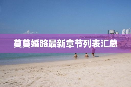 蔓蔓婚路最新章節(jié)列表匯總