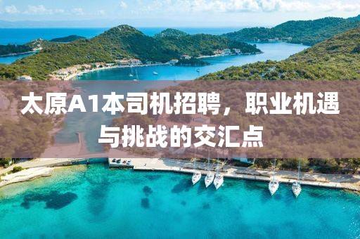 太原A1本司機招聘，職業(yè)機遇與挑戰(zhàn)的交匯點