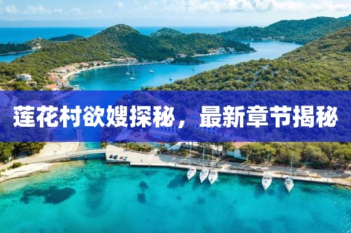 蓮花村欲嫂探秘，最新章節(jié)揭秘