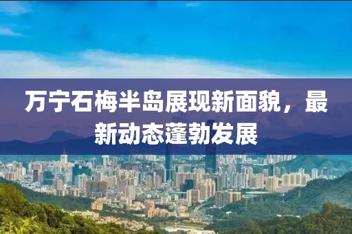 萬寧石梅半島展現(xiàn)新面貌，最新動態(tài)蓬勃發(fā)展