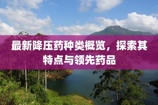 最新降壓藥種類概覽，探索其特點(diǎn)與領(lǐng)先藥品