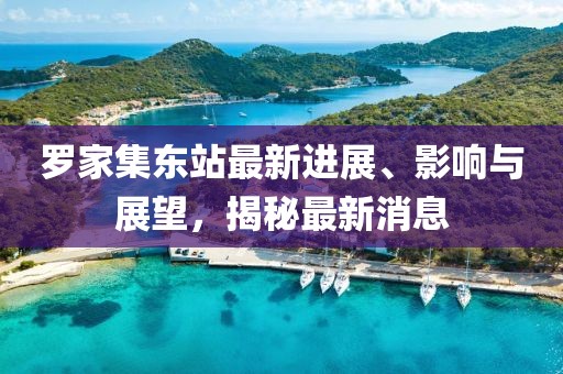 羅家集東站最新進展、影響與展望，揭秘最新消息