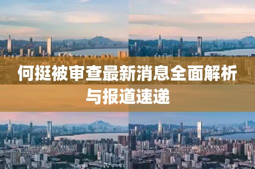 何挺被審查最新消息全面解析與報道速遞