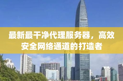 最新最干凈代理服務(wù)器，高效安全網(wǎng)絡(luò)通道的打造者