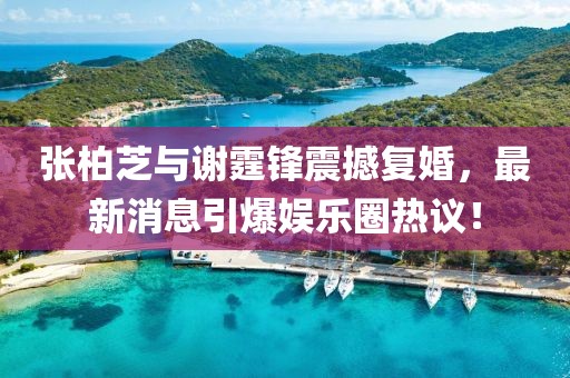 張柏芝與謝霆鋒震撼復(fù)婚，最新消息引爆娛樂圈熱議！
