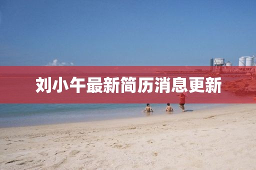 劉小午最新簡歷消息更新