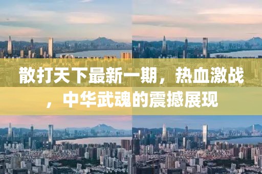 散打天下最新一期，熱血激戰(zhàn)，中華武魂的震撼展現(xiàn)