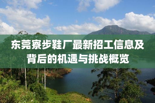 東莞寮步鞋廠最新招工信息及背后的機遇與挑戰(zhàn)概覽