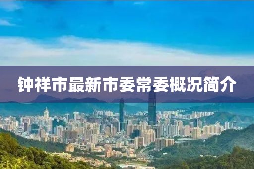 鐘祥市最新市委常委概況簡(jiǎn)介