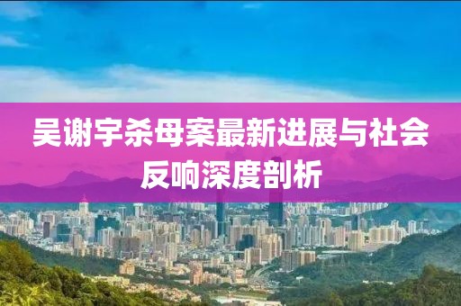 吳謝宇殺母案最新進展與社會反響深度剖析