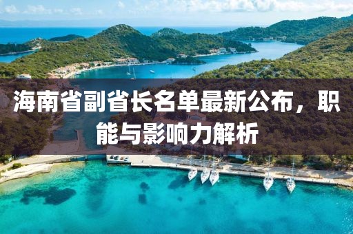 海南省副省長(zhǎng)名單最新公布，職能與影響力解析
