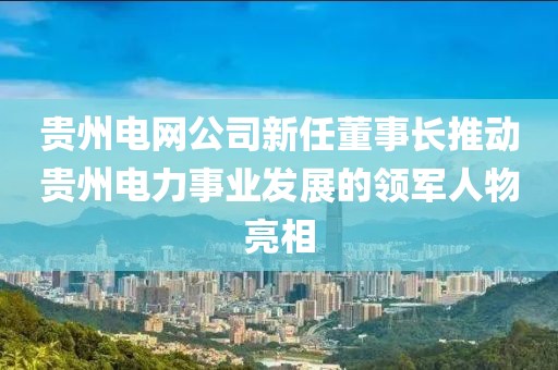 貴州電網(wǎng)公司新任董事長推動貴州電力事業(yè)發(fā)展的領(lǐng)軍人物亮相