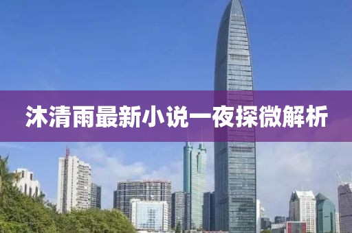 沐清雨最新小說一夜探微解析