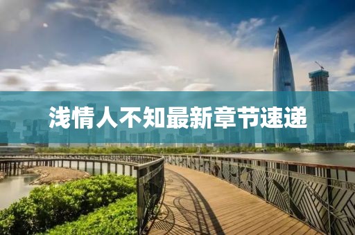 淺情人不知最新章節(jié)速遞