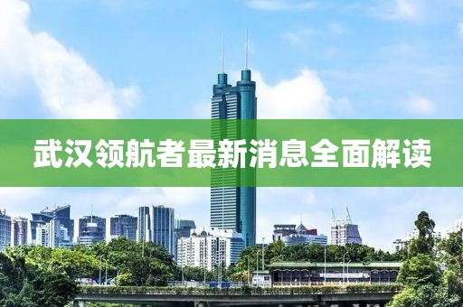 武漢領(lǐng)航者最新消息全面解讀