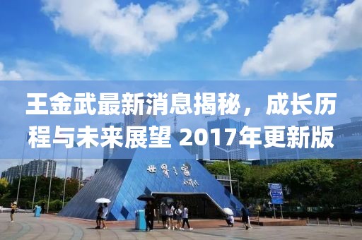 王金武最新消息揭秘，成長歷程與未來展望 2017年更新版