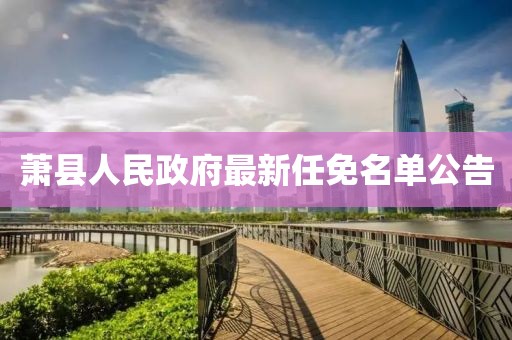 蕭縣人民政府最新任免名單公告