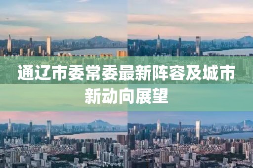 通遼市委常委最新陣容及城市新動向展望