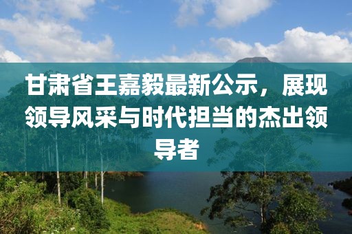 甘肅省王嘉毅最新公示，展現(xiàn)領(lǐng)導(dǎo)風(fēng)采與時代擔(dān)當(dāng)?shù)慕艹鲱I(lǐng)導(dǎo)者