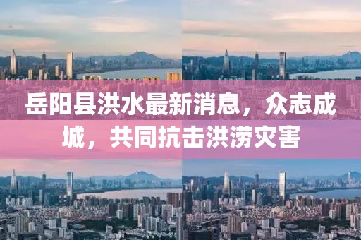 岳陽縣洪水最新消息，眾志成城，共同抗擊洪澇災害