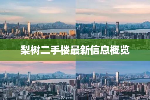 梨樹二手樓最新信息概覽