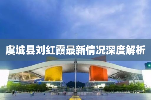 虞城縣劉紅霞最新情況深度解析