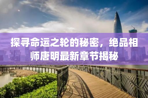 探尋命運(yùn)之輪的秘密，絕品相師唐明最新章節(jié)揭秘