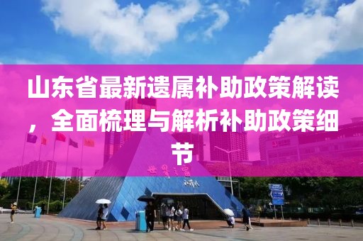 山東省最新遺屬補助政策解讀，全面梳理與解析補助政策細節(jié)