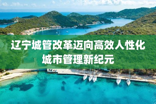 遼寧城管改革邁向高效人性化城市管理新紀元