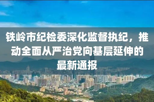 鐵嶺市紀(jì)檢委深化監(jiān)督執(zhí)紀(jì)，推動(dòng)全面從嚴(yán)治黨向基層延伸的最新通報(bào)