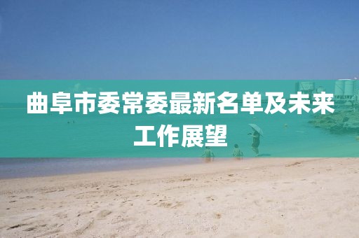 曲阜市委常委最新名單及未來工作展望