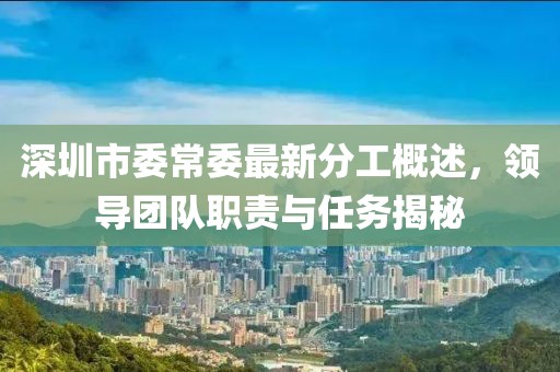 深圳市委常委最新分工概述，領(lǐng)導(dǎo)團(tuán)隊職責(zé)與任務(wù)揭秘