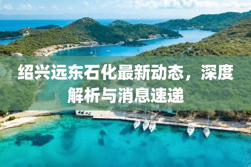紹興遠(yuǎn)東石化最新動(dòng)態(tài)，深度解析與消息速遞
