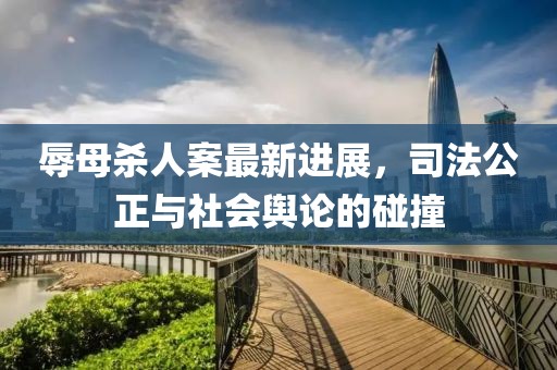 辱母殺人案最新進(jìn)展，司法公正與社會(huì)輿論的碰撞