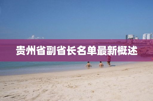 貴州省副省長(zhǎng)名單最新概述
