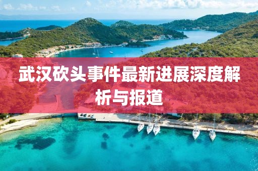 武漢砍頭事件最新進展深度解析與報道