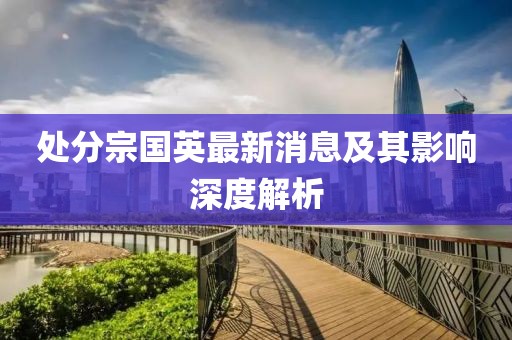 處分宗國英最新消息及其影響深度解析