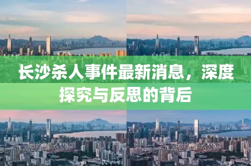長沙殺人事件最新消息，深度探究與反思的背后