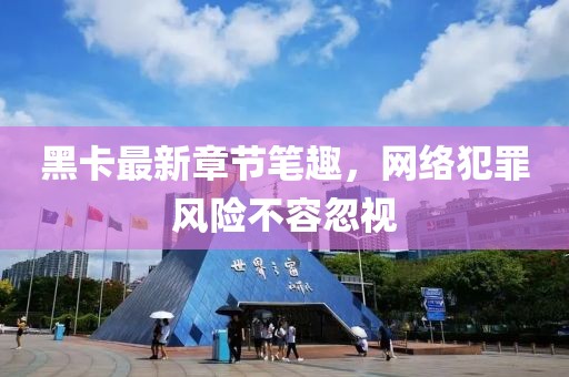 黑卡最新章節(jié)筆趣，網(wǎng)絡犯罪風險不容忽視