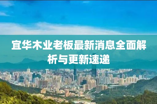 宜華木業(yè)老板最新消息全面解析與更新速遞