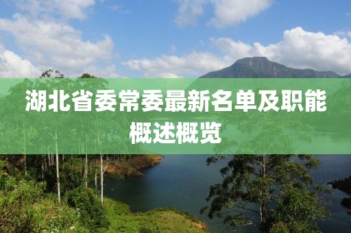 湖北省委常委最新名單及職能概述概覽