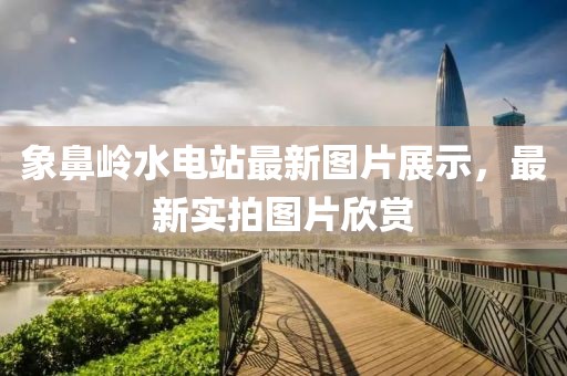 象鼻嶺水電站最新圖片展示，最新實拍圖片欣賞